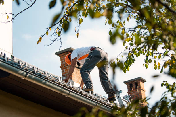 4 Ply Roofing in Homeland, GA